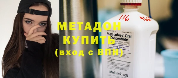 гашик Алексин