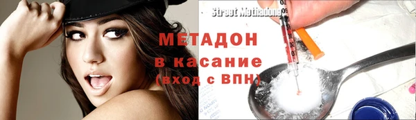 гашик Алексин