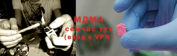 гашик Алексин