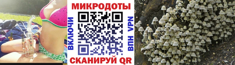 Псилоцибиновые грибы Magic Shrooms  где найти наркотики  Устюжна 